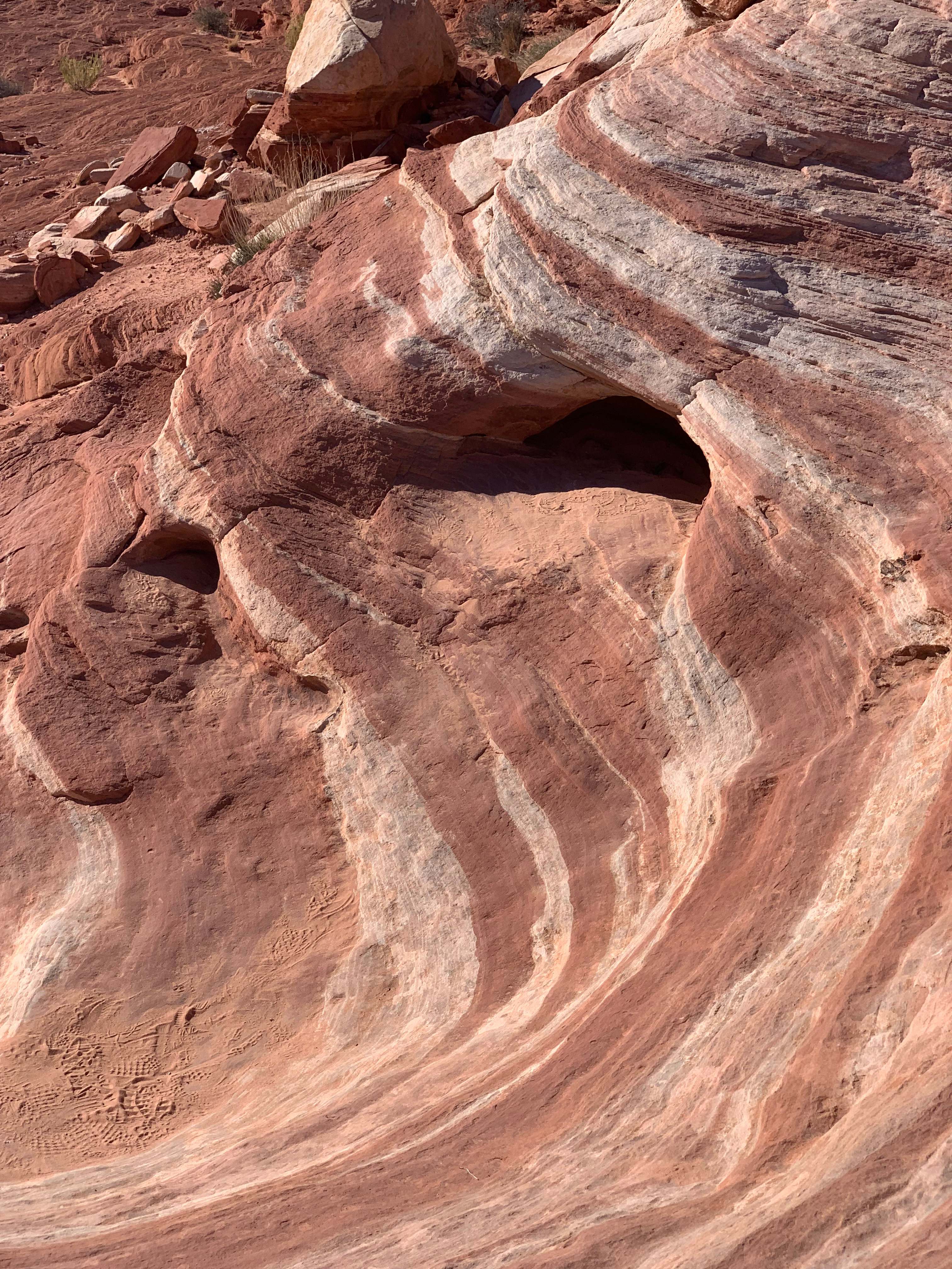 Nevada